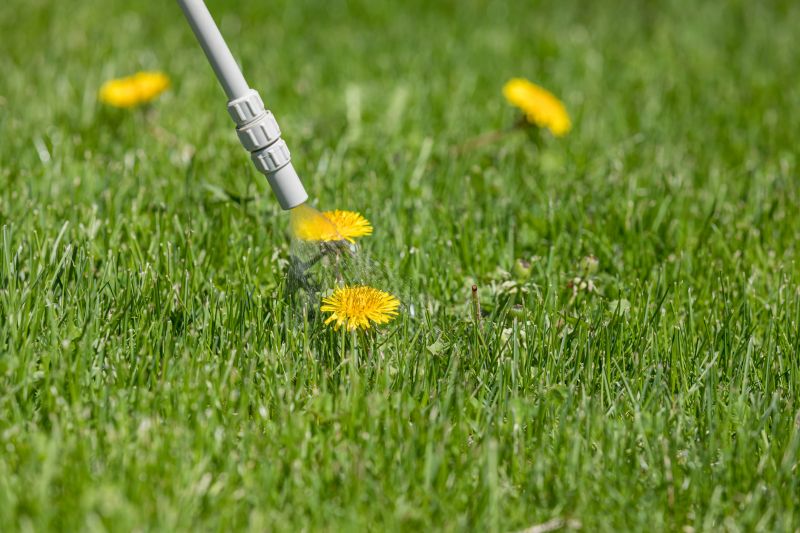 Lawn Weed Treatment in Ventura County, CA