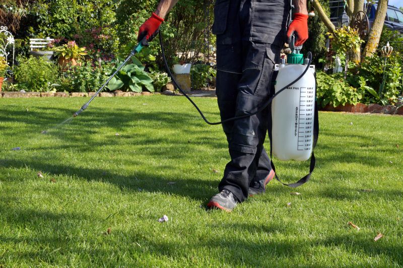 Weed Prevention Service in Honolulu, HI