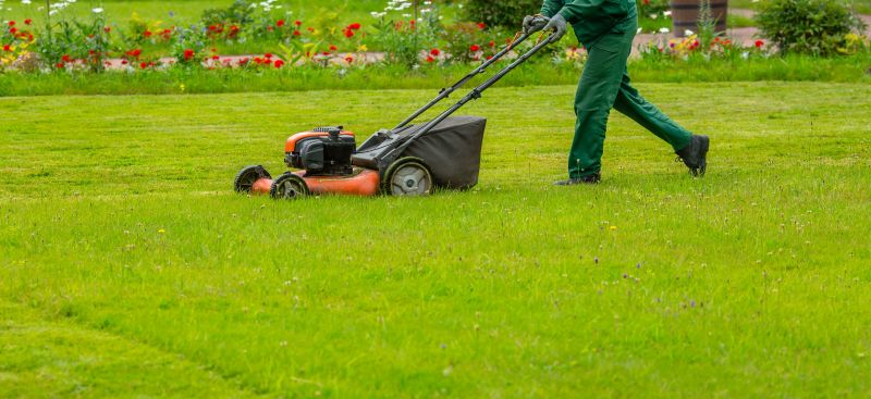 Landscaping And Lawn Maintenance