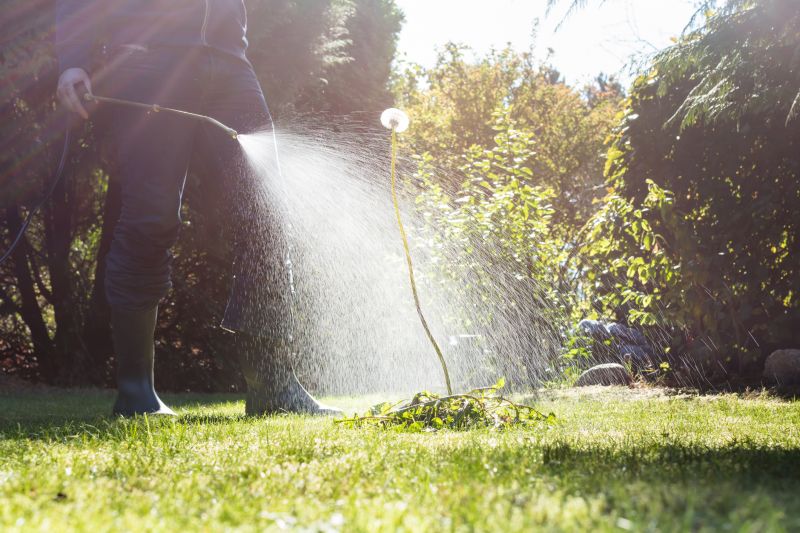 Crabgrass Prevention in Aiken, SC