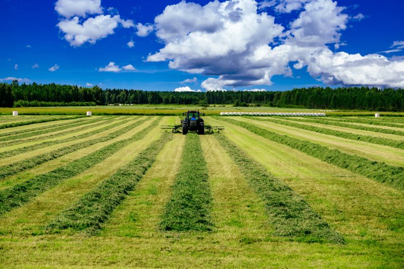 Field Mowing in Calvert County, MD