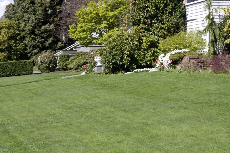 Landscaping And Lawn Maintenance detail