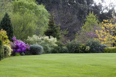 Landscaping And Lawn Maintenance detail