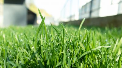 Landscape Fertilizing Service in Ventura County, CA