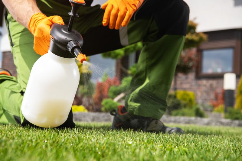 Lawn Disease Treatment in Ventura County, CA