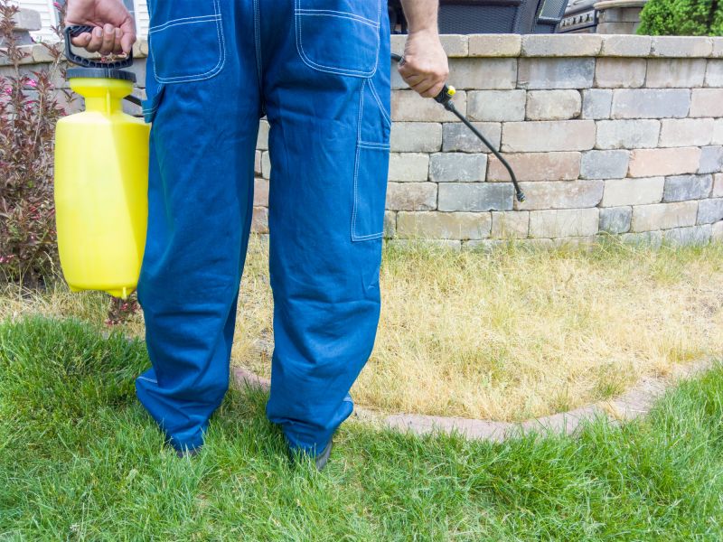 Lawn Fungus Treatment in Honolulu, HI