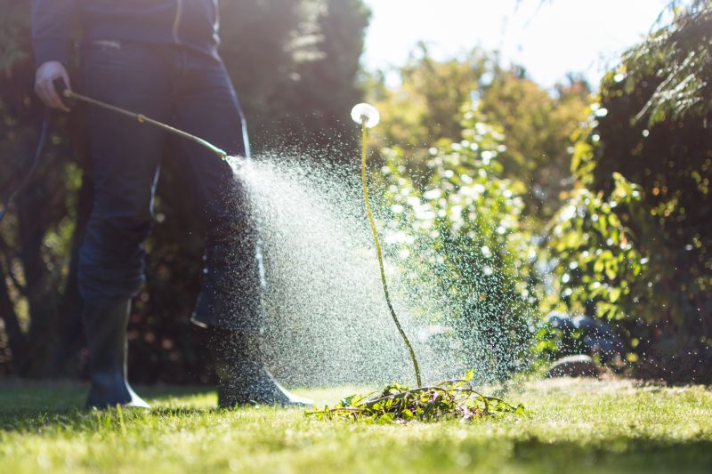 Lawn Spraying in Ventura County, CA