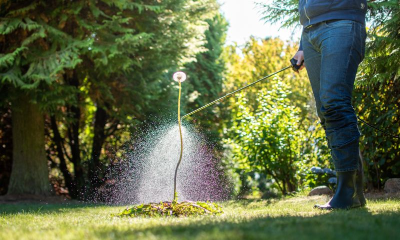 Lawn Spraying in Aiken, SC