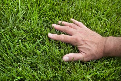 Lawn Topdressing in Ventura County, CA