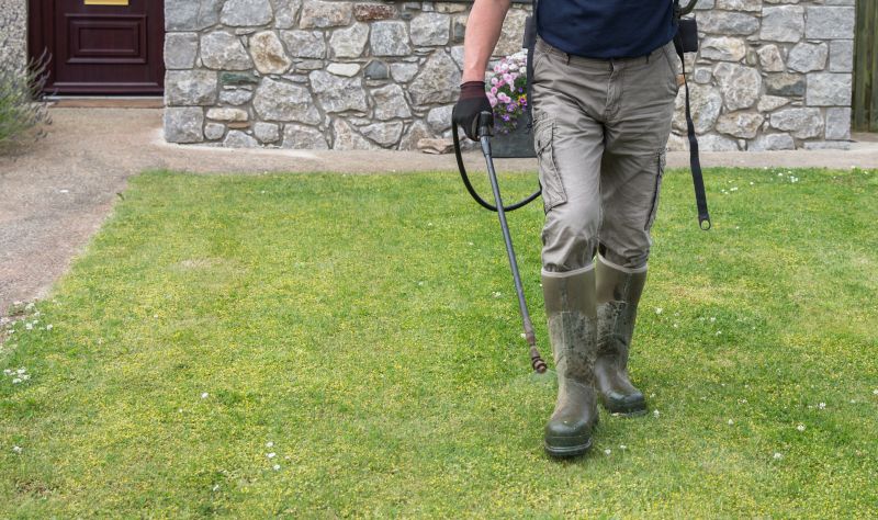 Lawn Weed Spraying in Honolulu, HI