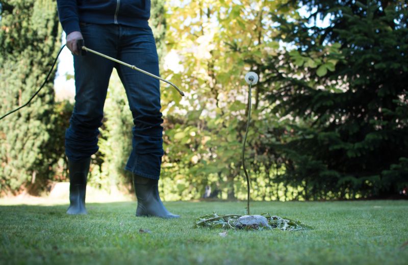 Lawn Weed Treatment in Honolulu, HI
