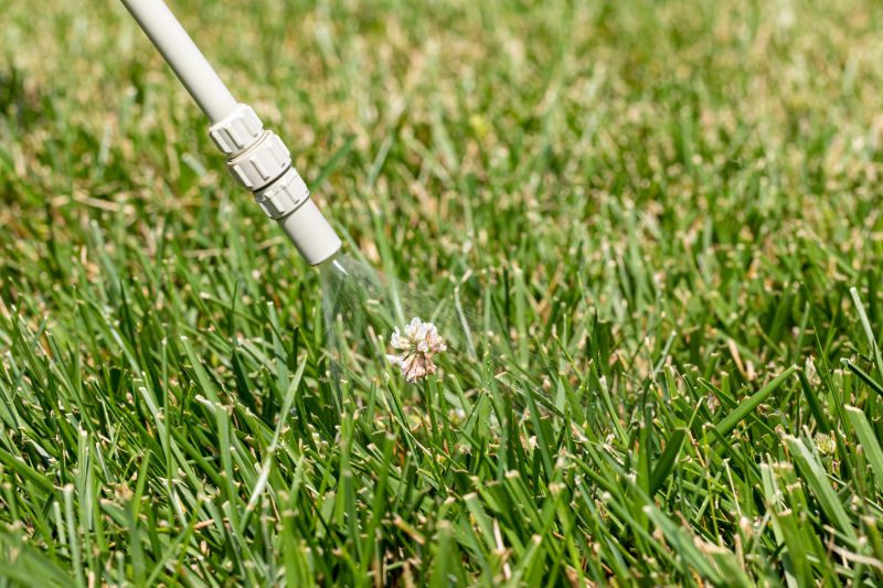 Lawn Weed Treatment in Honolulu, HI