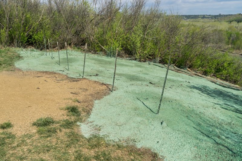 Liquid Grass Seeding in Honolulu, HI