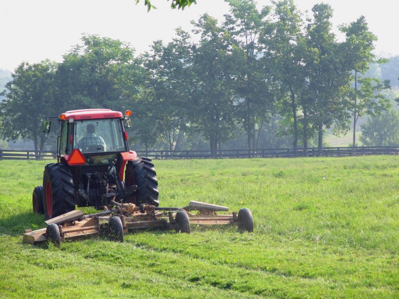 Meadow Mowing in Duluth, MN