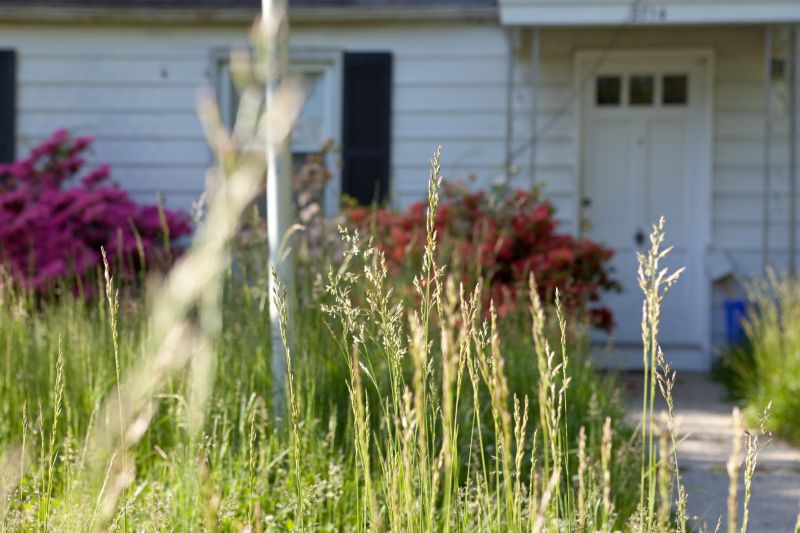 Meadow Mowing in Waldorf, MD