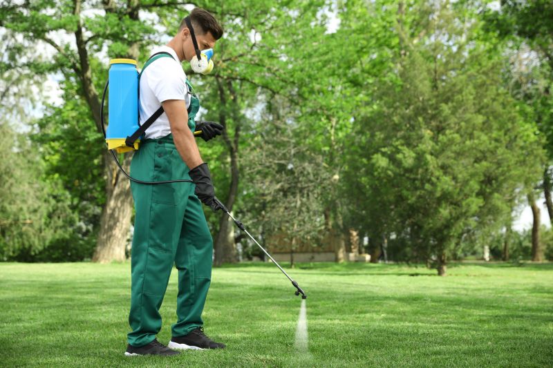 Mushroom Removal Service in Ventura County, CA