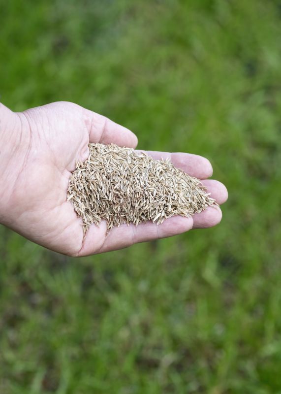 New Construction Lawn Seeding in Honolulu, HI