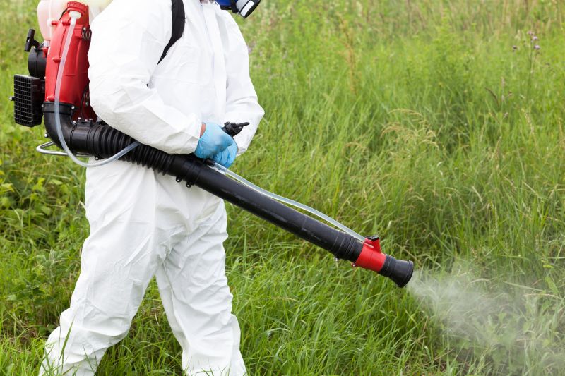 Pampas Grass Control in Ventura County, CA