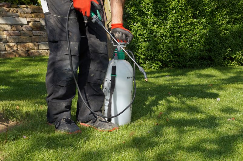 Pampas Grass Control in Aiken, SC