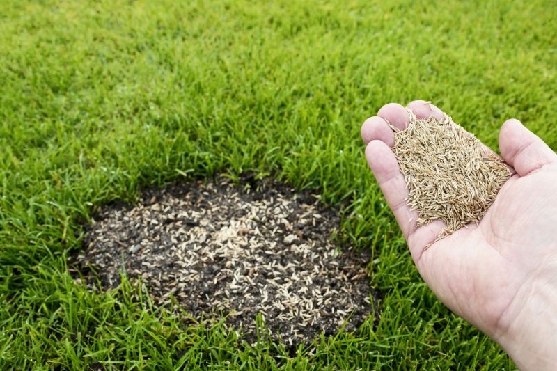 Reseeding Service in Honolulu, HI