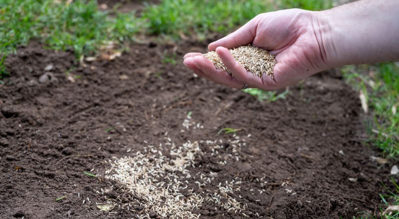 Residential Lawn Seeding in Honolulu, HI
