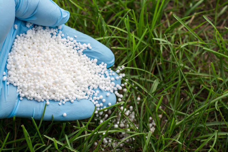 Spring Lawn Fertilizing in Ventura County, CA