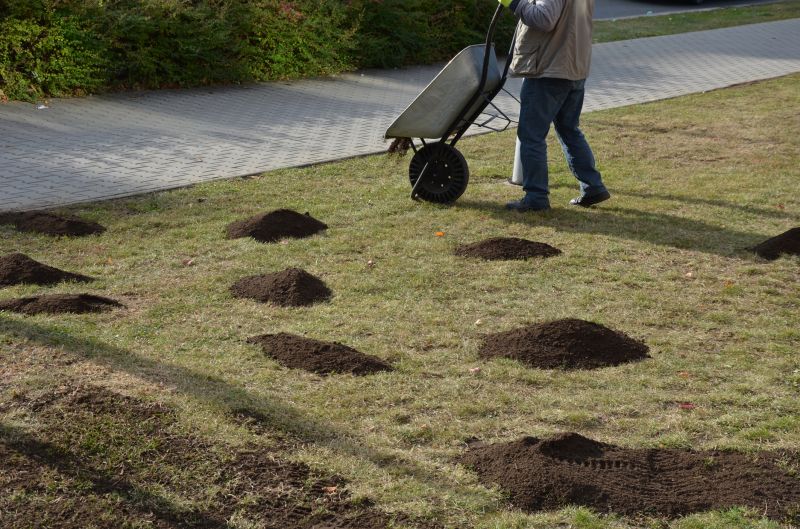 Spring Lawn Treatment in Honolulu, HI