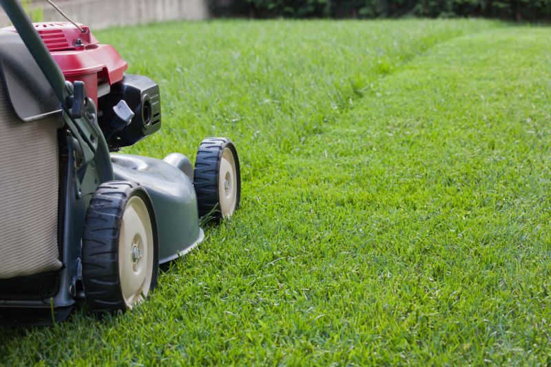 Tall Grass Mowing in Bowie, MD