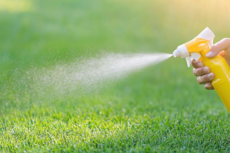Weed Spraying in Honolulu, HI