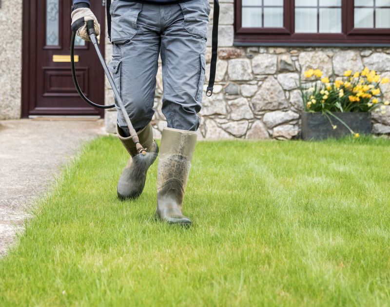 Yard Treatment Service in Ventura County, CA